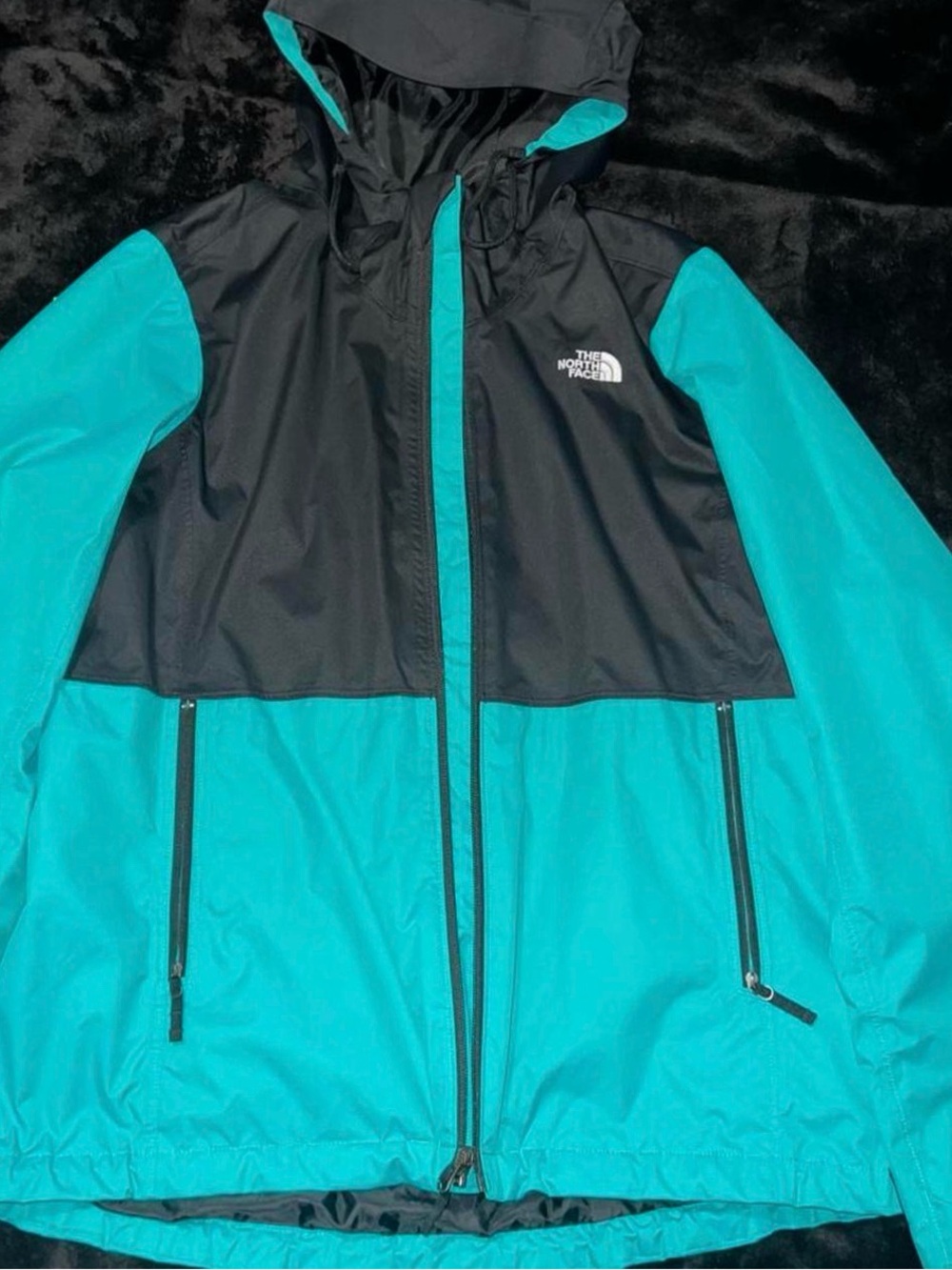 The North Face Black and Teal Ski Jacket